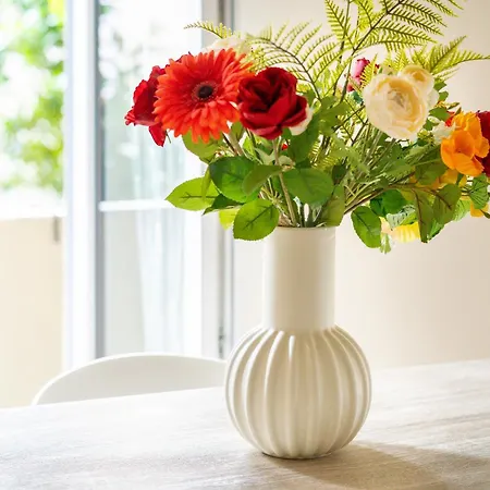 La Casa Di Milu 公寓 *